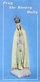 Pray The Rosary Daily (Pack of 5) Pamphlet Guide for praying the Rosary